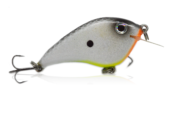 Manic Baits M1 Scout